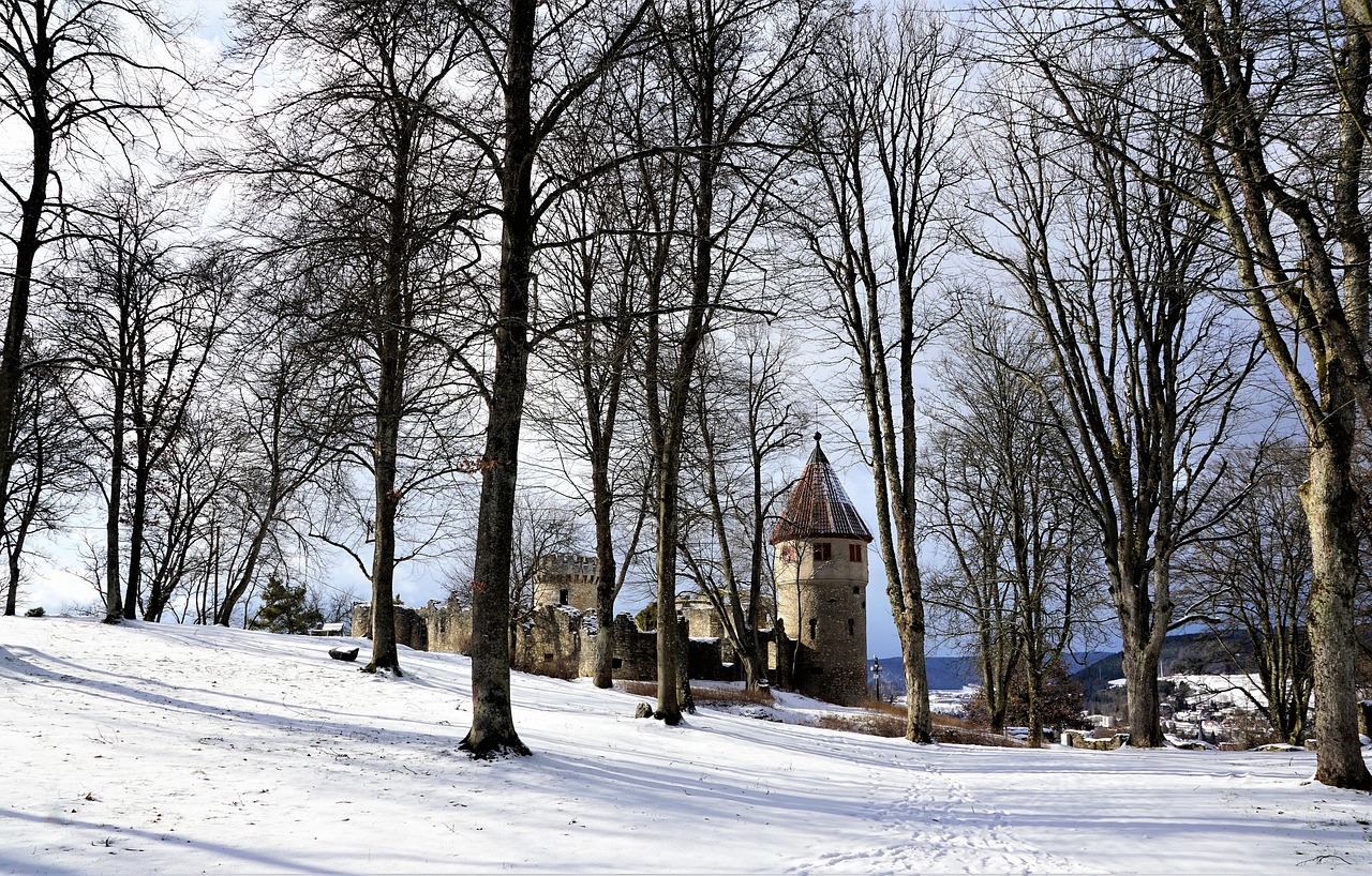 découvrez nos conseils et destinations idéales pour des voyages d'hiver en famille inoubliables, alliant aventures, confort et moments chaleureux.