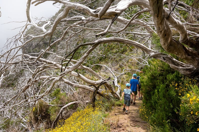 Voyage en famille : 10 activités simples avec des enfants en Provence​