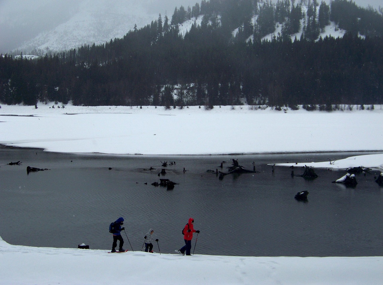Partir en famille en hiver : destinations ski et alternatives nature​
