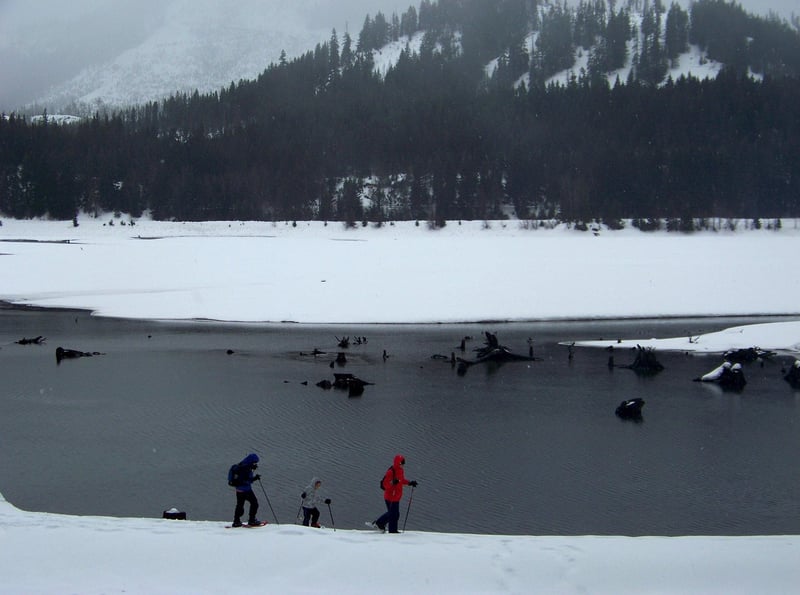 Partir en famille en hiver : destinations ski et alternatives nature​