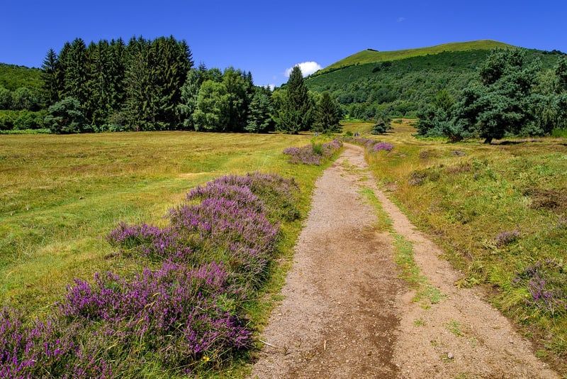 Voyage Thuret 2026 : les destinations incontournables pour votre prochaine aventure