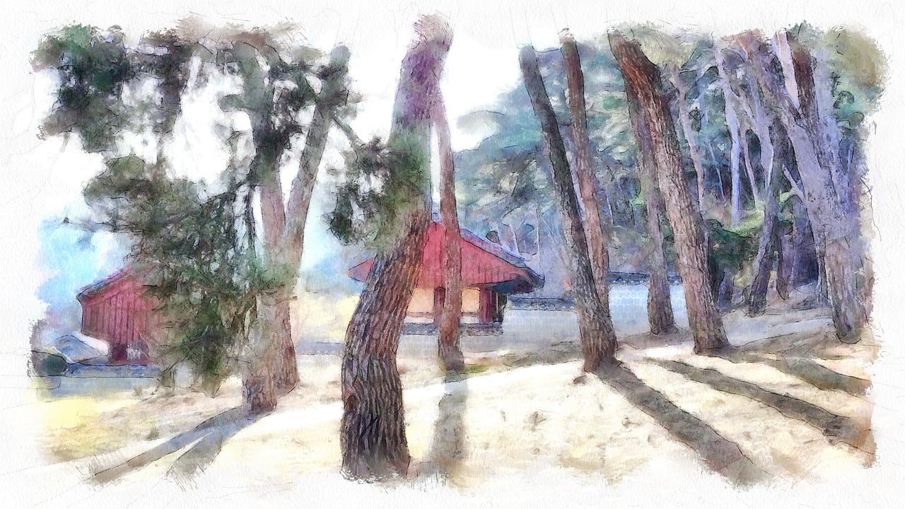 Voyager autrement : le woofing pour découvrir la France gratuitement​