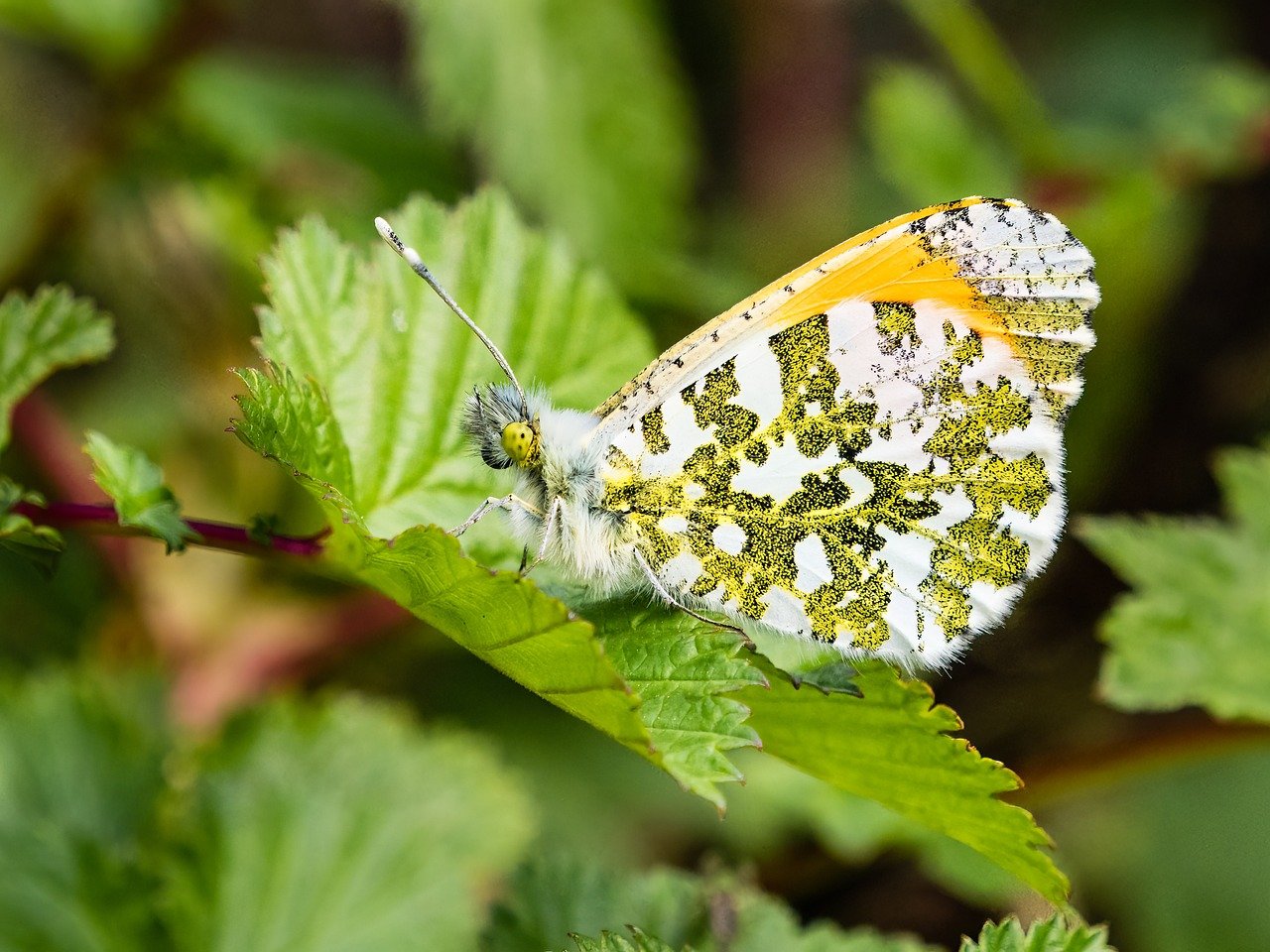 découvrez nos conseils de voyage pour planifier vos aventures, économiser de l'argent et profiter pleinement de chaque destination.
